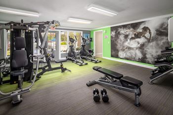 a large fitness room with exercise equipment and a large mural on the wall at Waterview at Rocky Point, Tampa, FL